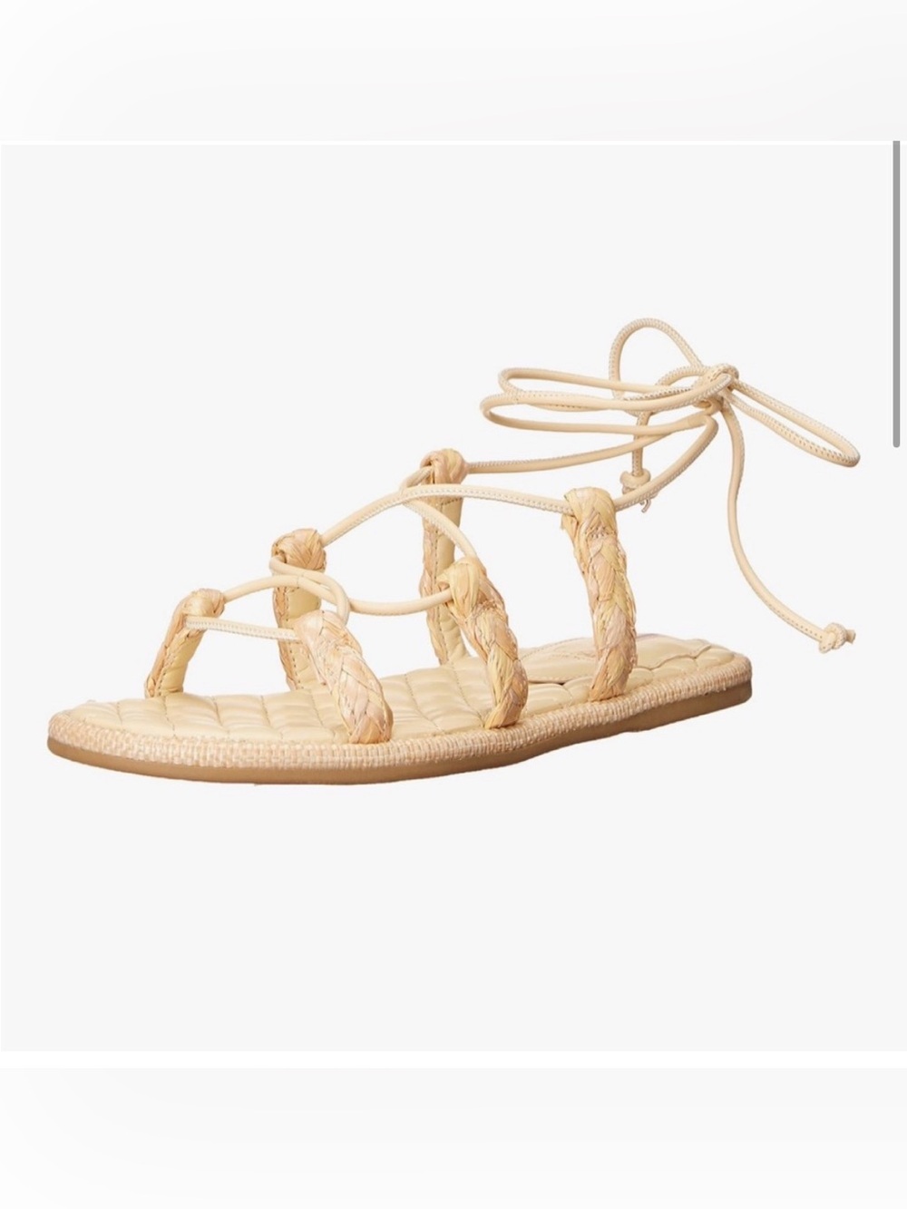 Sam Edelman Zariah 2 Gladiator Sandals Sand Nappa Size 7 M